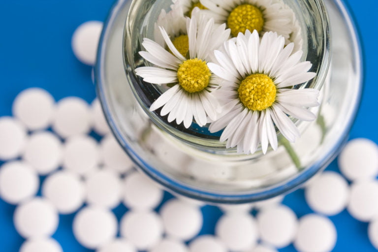 a white flower in a glass bowl