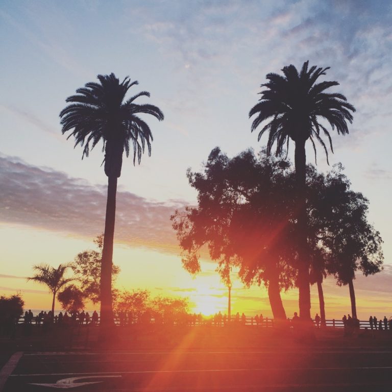 a sunset with palm trees